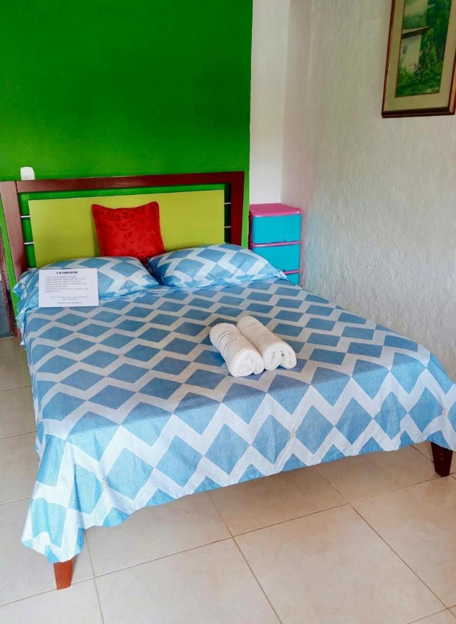 Hostal Bamboo Salento Luaran gambar